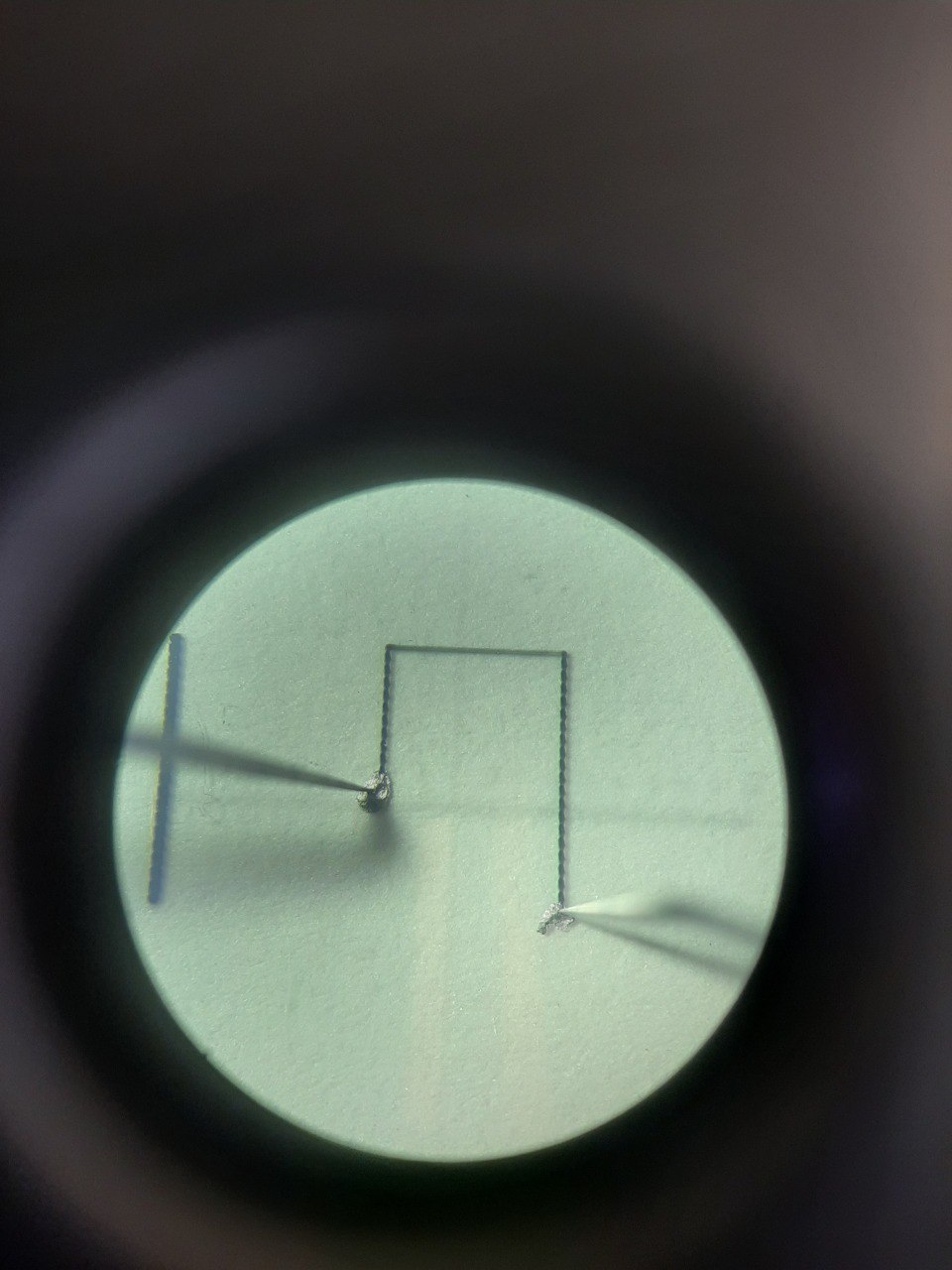 photo 5201867237487671298 y